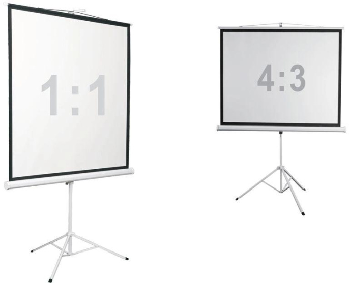 Экран на треноге Digis 135" 248x250см Kontur-D DSKD-1108 1:1 напольный рулонный белый