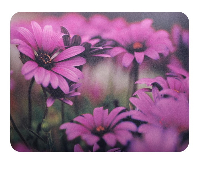 Коврик для мыши Buro BU-M20045 (S) рисунок/цветы, PVC, 230х180х2мм