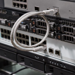 Патч-корд REXANT вилка RJ-45,  вилка RJ-45,  кат.5E,  ПВХ,  0.5м,  серый [18-1001]