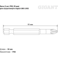 Бита 2 шт; PH2; 50 мм для шуруповерта Gigant GBS 11032