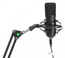 Микрофон Oklick SM-700G,  черный [1456135]