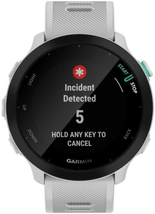 Смарт-часы Garmin Forerunner 55,  1.04",  белый