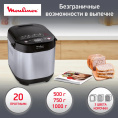 Хлебопечь Moulinex Pain & Delices OW240E30 650Вт серебристый/черный 7211002289