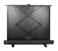 Экран Cactus FloorExpert CS-PSFLE-120X68,  120х68 см, 16:9,  напольный
