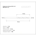 Сверло по металлу HSS 2 шт; 3x61 мм Gigant DBM 11017