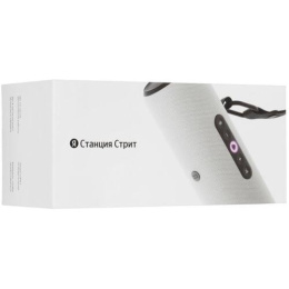 Умная колонка ЯНДЕКС Станция Стрит, 30Вт, с Алисой, серый [yndx-00030gry]