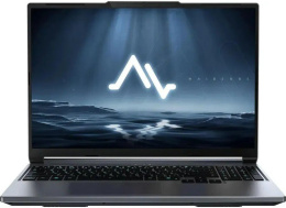 Ноутбук Maibenben X16C-i73756 16" QHD IPS 180Hz, Intel Core i7-13700HX, 16Gb, 512Gb SSD, NVidia RTX5060 8Gb, Linux, серый (X16C-i737560FERLG4E10)