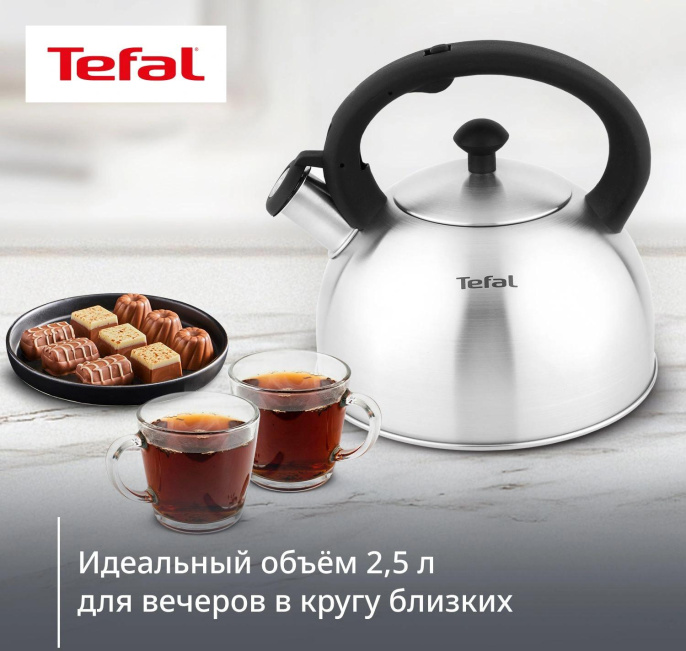 Чайник металлический Tefal Wawe N4210117 2.5л. серебристый 3110602015