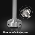 Блендер RED SOLUTION HB2901,  погружной,  серебристый/черный