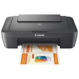 МФУ струйное Canon PIXMA MG2541s 0727C067/0727C071