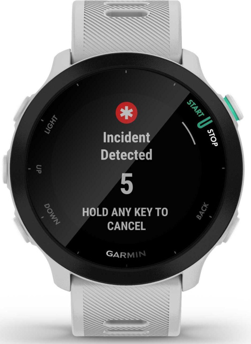 Смарт-часы Garmin Forerunner 55,  42мм,  1.04",  белый [010-02562-11]