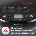 Хлебопечь Moulinex Pain & Delices OW240E30 650Вт серебристый/черный 7211002289