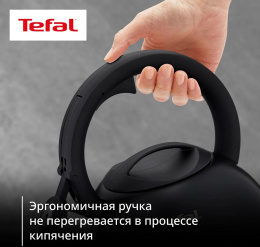 Чайник металлический Tefal Intuition N4180417 2.5л. черный 3110601825