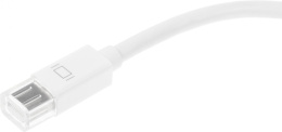 Адаптер DVI NingBo DVI-D f - miniDisplayPort m , 0.245м, белый