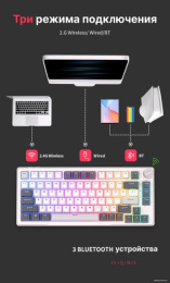 Клавиатура Royal Kludge RK-H81 (White Night, серый, черный, бежевый, USB/2.4 GHz/Bluetоoth, подсветка RGB, горячая замена клавиш Hot Swap, небесно-голубые свичи)