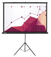 Экран Cactus Triscreen CS-PST-180x180,  180х180 см, 1:1,  напольный черный