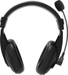 RAPOO Гарнитура проводная H150S, цвет - черный 12028