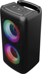 Колонка портативная URAL Молния 111, 40Вт, черный