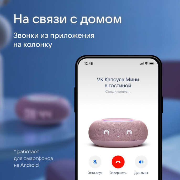 Умная колонка VK Капсула Мини Маруся розовый 5W 1.0 BT 12м MRC02PI