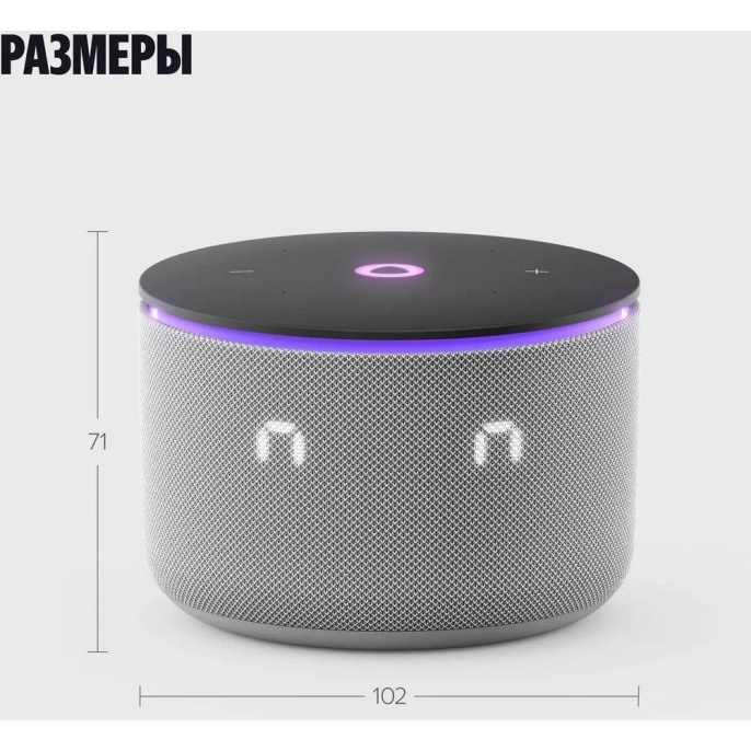 Умная колонка ЯНДЕКС Станция Мини 3 Про, 18Вт, с Алисой, серый Zigbee [yndx-00059gry]