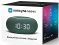 Умная колонка VK Капсула Мини 5Вт, с Марусей, хвойный зеленый [mrc02sg]