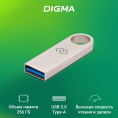 Флешка USB Digma DRIVE3 256ГБ, USB3.0, серебристый [dgful256a30sr]