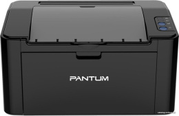 Принтер лазерный Pantum P2500 A4 черный