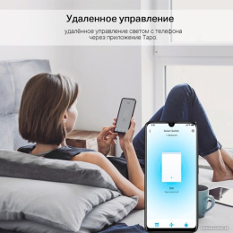 TP-Link Tapo S220 Умный 2-клавишный, 1-позиционный выключатель