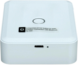 Принтер этикеток NIIMBOT D110 M,  голубой [1746805]