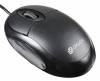 Мышь проводная Oklick 105S, оптическая, USB, 800dpi, черный [400941]
