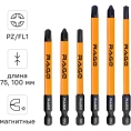 Биты для электриков магнитные RAGE S2 PZ/FL1 PZ/FL2 PZ/FL3 75 мм и 100 мм, 6 шт 554294