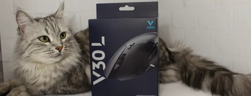 Обзор беспроводной компьютерной мышки RAPOO V30L