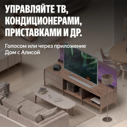 Умный пульт ЯНДЕКС YNDX-00572,  р.д.20м,  черный