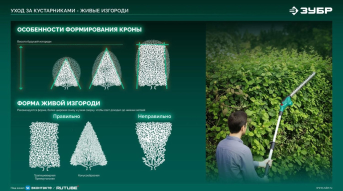 Кусторез Зубр КРА-2051-41аккум.