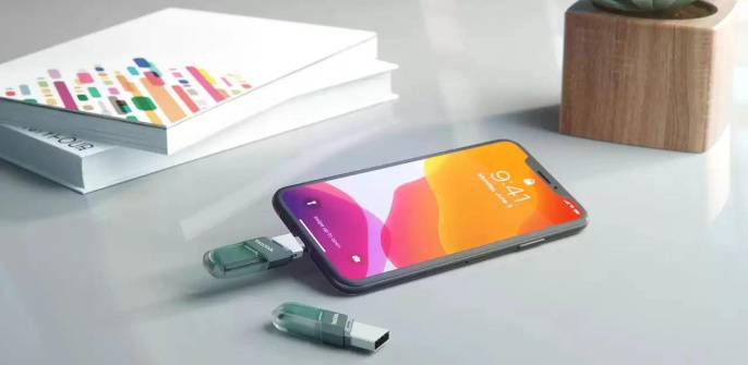 Флешка USB Sandisk iXpand Flip 64ГБ, USB3.1, зеленый и серебристый [sdix90n-064g-gn6nn]