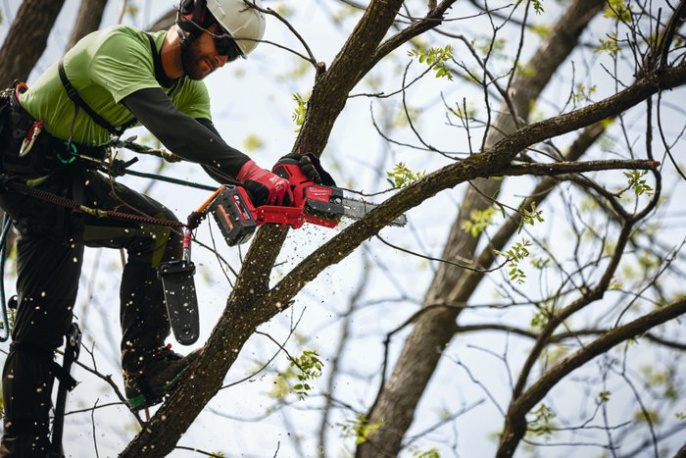 Цепная пила Milwaukee M18 FHS20-0 (4933480117) (аккумуляторная, 18 В, бесщеточный двигатель, длина шины: 20 см, скорость цепи: 5 м/с, шаг цепи: 3/8", поставляется без зарядного устройства)