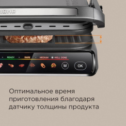 Электрогриль РЕДМОНД SteakMaster,  GM300 серый