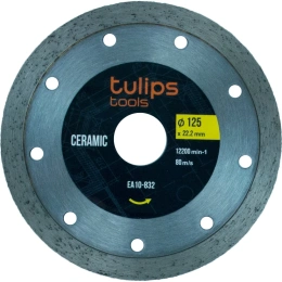Диск алмазный сплошной 125х2.4х22.2 мм Tulips tools EA10-832