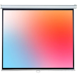 Lumien Eco Picture [LEP-100121] Настенный экран 115х180см рабочая область 109х174 см Matte White восьмигранный корпус, возможность потолочн./настенного крепления, уровень в комплекте, 16:10 треуго