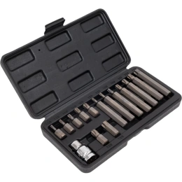 Набор бит ТОRХ (15 шт, Т20-Т55) в пластиковом боксе VOREL 66580