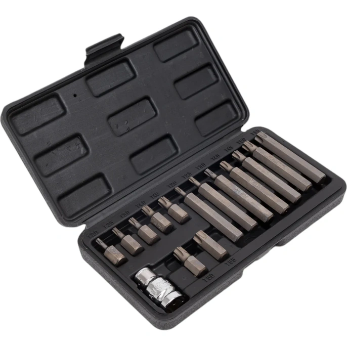 Набор бит ТОRХ (15 шт, Т20-Т55) в пластиковом боксе VOREL 66580