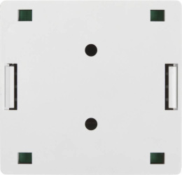 Розетка Lanmaster (TWT-SM2-4545-WH) RJ45 2 кат.5E бел. (упак.:1шт)