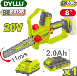 Пила цепная аккумуляторная DYLLU DTCLP581