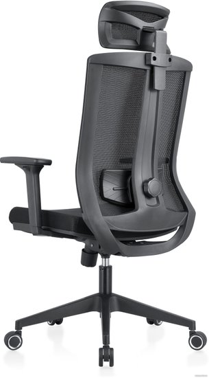 Кресло компьютерное EVOLUTION ERGO BLISS Black