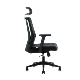 Кресло офисное компьютерное EVOLUTION ErgoLine 3 Black