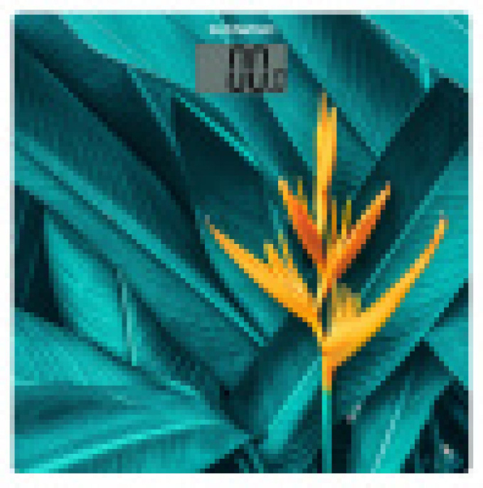 Весы напольные электронные SunWind SSB055 макс.180кг рисунок