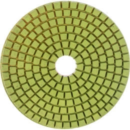 Круг алмазный гибкий шлифовальный АГШК (100х2.5 мм; №3000; мокрая) Diam 000580