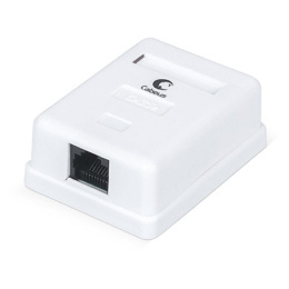 Компьютерная розетка RJ-45 Cabeus WS-8P8C-Cat.5e-1 одинарная