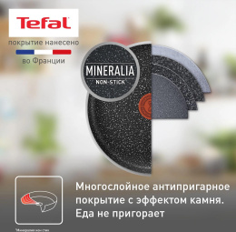 Сковорода Tefal Rock 4235124 круглая 24см покрытие: антипригарное ручка несъемная без крышки черный 9100054293