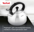 Чайник металлический Tefal Wawe N4210117 2.5л. серебристый 3110602015
